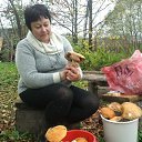 ���� ��������, �����-���������, 72 ���� - ��������� 7 ���� 2015 � ������ ���� ����������