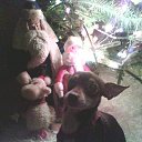 ���� ������, ������ - ��������� 22 ���� 2015 � ������ ���� ����������