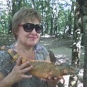  Larisa, , 62  -  31  2015