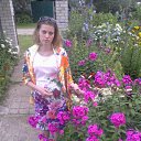 ���� ���, ��������, 31 ��� - ��������� 16 ���� 2015 � ������ ���� ����������