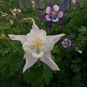 ���� Sergeyip, ������, 64 ���� - ��������� 14 ���� 2015 � ������ ���� ����������