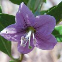 ���� ���������, ����������, 73 ���� - ��������� 28 ���� 2015 � ������ ��������� � ������