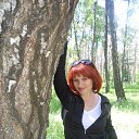 ���� �����, �������� - ��������� 19 ���� 2015 � ������ ���� ����������