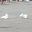  ,  -  30  2015    2015