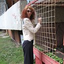 ���� ��������, ����, 55 ��� - ��������� 20 ������� 2015 � ������ ���� ����������