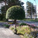 ���� Alexandr, ������, 75 ��� - ��������� 4 �������� 2015 � ������ ���� ����������