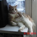 ���� �������, ������, 59 ��� - ��������� 6 ������� 2015 � ������ ���� ����������