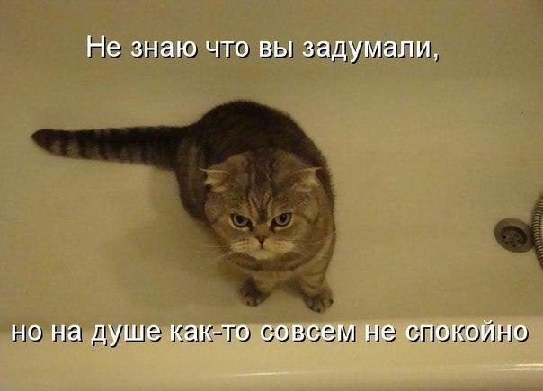    - 9  2015  04:15