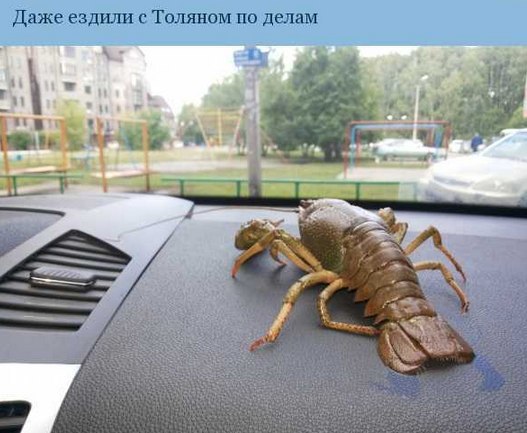   - 5