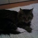 ���� ������, ������, 21 ��� - ��������� 16 ���� 2015 � ������ �2014�