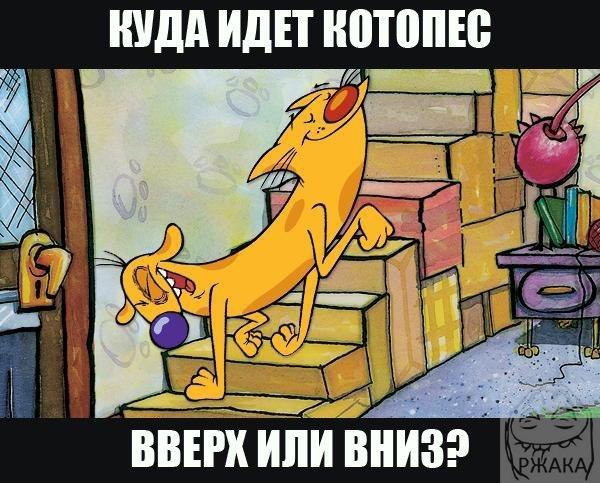    - 1  2015  21:32