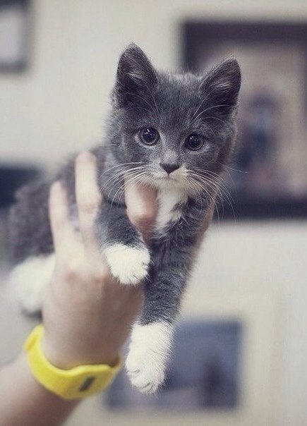 ���� �������� - 5