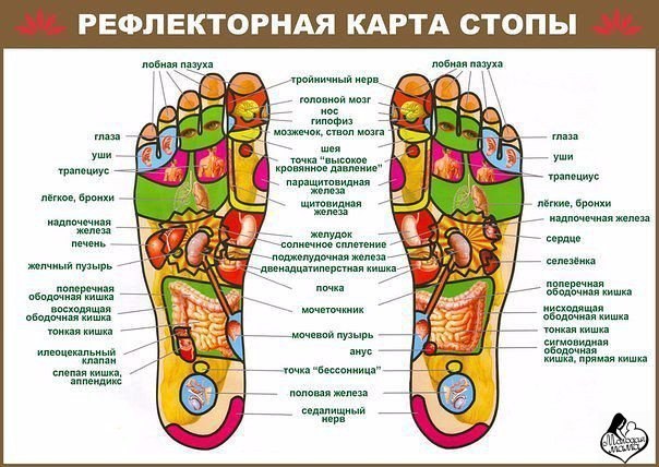 МАССАЖ СТОП МАЛЫШАМ.Массаж ног, и в особенности стоп, позволяет воздействовать на проблемные участки ...