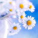 ���� ��������, ����� - ��������� 14 ���� 2015 � ������ ������ ��������