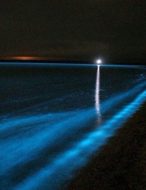 .#@https://fotostrana.ru/away?to=/sl/XE2 - 5