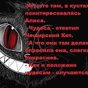 ���� �����, ������ - ��������� 23 ���� 2015 � ������ ������ � ������ �����