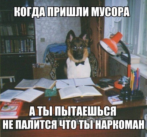  - 30  2015  21:34