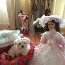 ���� ������( ������!!!), �����, 52 ���� - ��������� 5 ��� 2015 � ������ ���� ����������