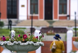 �����������