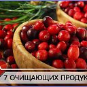 ���� �������, ���������, 63 ���� - ��������� 6 ���� 2015 � ������ ������ ��������