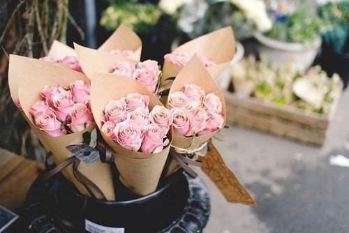   |  |  - 23  2015  12:25