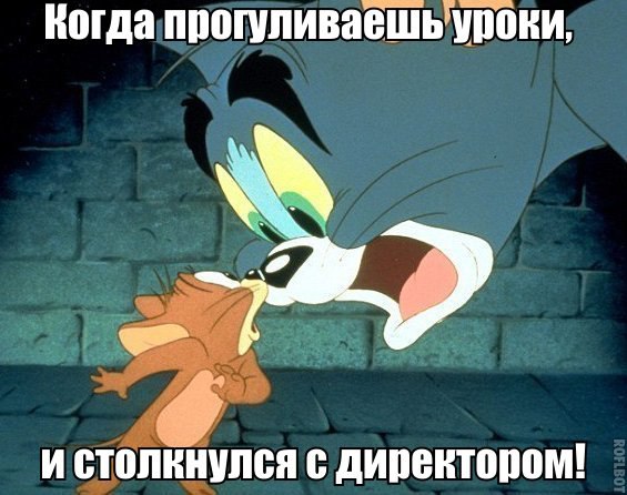 ? ,  ! - 28  2015  14:51