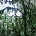 ���� ������, ����, 51 ��� - ��������� 28 ������� 2015 � ������ ���� ����������