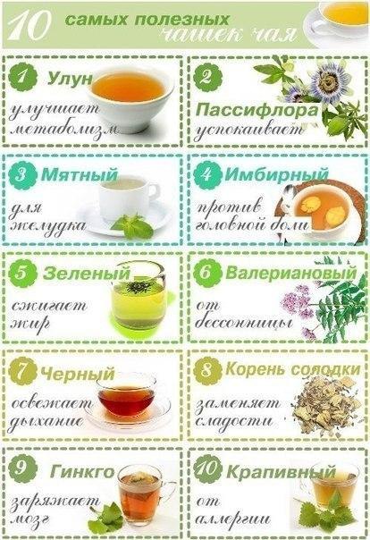 10 самых полезных чашек чая.1. Улун (название, которое может быть на упаковке – Oolong). Чай улун ...