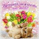 ���� �������, �����-��������� - ��������� 4 ��� 2015 � ������ �������� ��������
