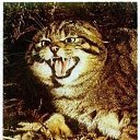  , -, 35  -  13  2015    