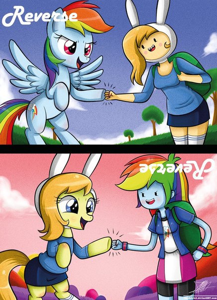Magic the cookie - 25  2015  17:23
