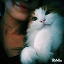 ���� Lini Lini, ��� - ��������� 17 �������� 2015 � ������ ���� ����������