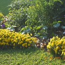  , -, 22  -  12  2015    