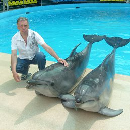 ���� ��������, ��������, 54 ���� - ��������� 25 �������� 2015