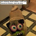 ���� �������, ������ ��������, 48 ��� - ��������� 28 ��� 2015 � ������ ������ ��������