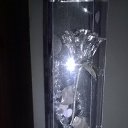 ���� ����, ���-��, 62 ���� - ��������� 29 ���� 2015 � ������ ������ ��������