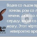 ���� ������, ������ - ��������� 11 ��� 2015 � ������ ������ ��������