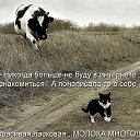 ���� ������, ���, 61 ��� - ��������� 24 ���� 2015 � ������ ���� ����������