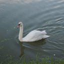  , , 49  -  13  2015   :))