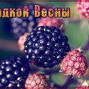 ���� Le Don De Dieu, ����� - ��������� 4 ��� 2015 � ������ �������� ��������