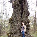  , -, 47  -  24  2015    