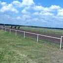  ((((Olenka)))),  -  22  2015    