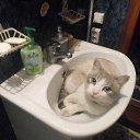 ���� ����, ����������, 23 ���� - ��������� 26 ���� 2015 � ������ ���� ����������