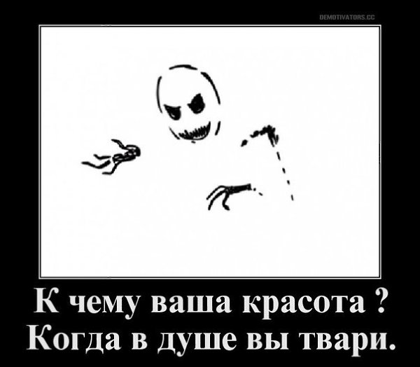    :D - 6  2015  06:05