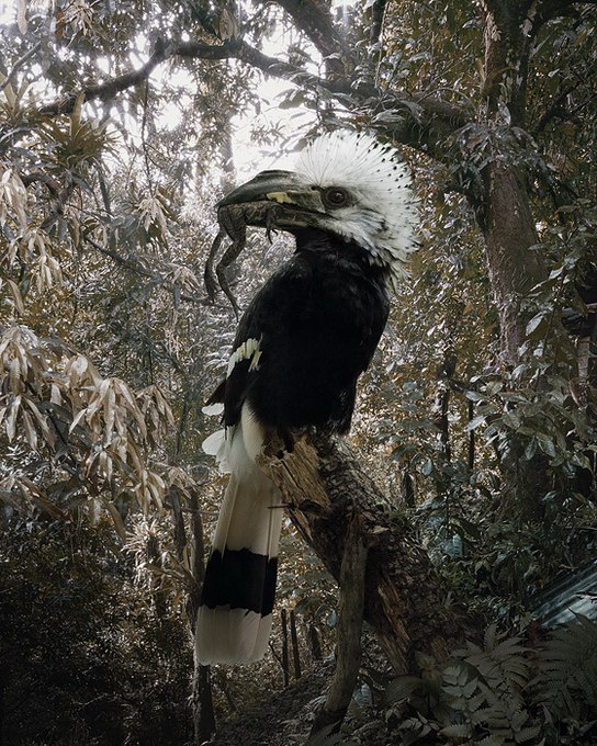   (Simen Johan)  ,    .     1973 ... - 14