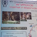  , , 47  -  8  2015    