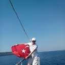  , , 67  -  13  2015    2015