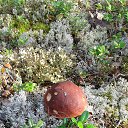 ���� ������, �����-���������, 70 ��� - ��������� 9 ������� 2015 � ������ ������ 2015�