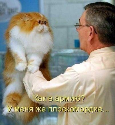   - 5  2015  04:31