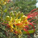 ���� ���������, �����������, 69 ��� - ��������� 21 ������� 2015 � ������ ������������